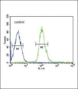 Anti-DUSP2 Rabbit Polyclonal Antibody