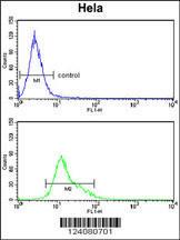 Anti-TNFRSF10D Rabbit Polyclonal Antibody (Biotin)