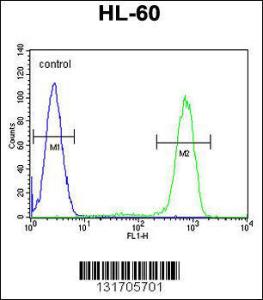 Anti-CASP12 Rabbit Polyclonal Antibody (Biotin)