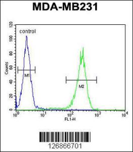 Anti-RAB11FIP2 Rabbit Polyclonal Antibody (FITC (Fluorescein Isothiocyanate))