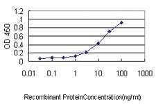 Anti-ZNF143 Mouse Monoclonal Antibody [clone: 3A7]