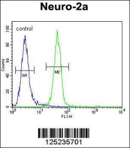 Anti-RT34 Rabbit Polyclonal Antibody (APC (Allophycocyanin))