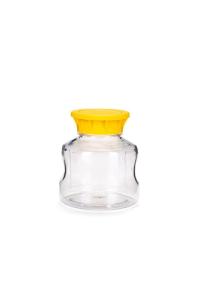 Sartolab® Bottle, 250 ml