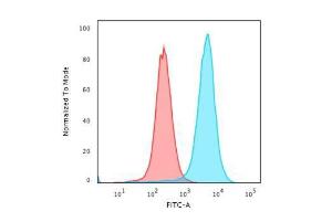 Flow cytometric analysis of paraformaldehyde fixed K562 cells using Anti-CD43 Antibody [SPN/3388] followed by Goat Anti-Mouse IgG (CF&#174; 488) (Blue). Isotype Control (Red).