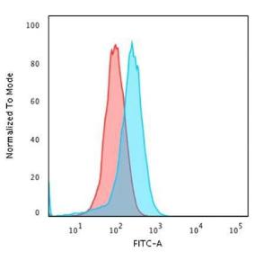 Flow cytometric analysis of PFA fixed K562 cells using Anti-CD43 Antibody [DF-T1] followed by Goat Anti-Mouse IgG (CF&#174; 488) (Blue). Isotype Control (Red).