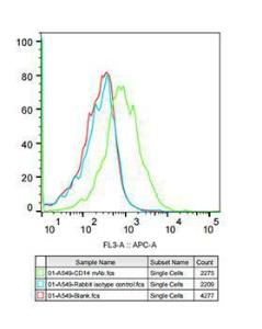 Anti-CD14 Rabbit Monoclonal Antibody [clone: ARC0353]