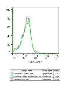 Anti-CD14 Rabbit Monoclonal Antibody [clone: ARC0353]