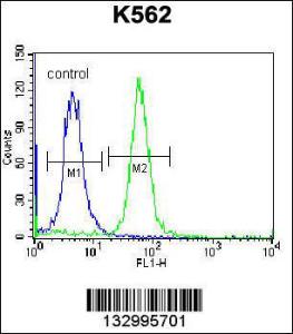 Anti-RAB3D Rabbit Polyclonal Antibody (HRP (Horseradish Peroxidase))