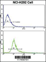 Anti-DCXR Rabbit Polyclonal Antibody