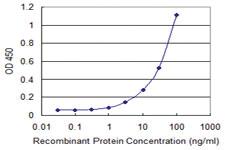 Anti-MAFA Mouse Monoclonal Antibody [clone: 2F1]