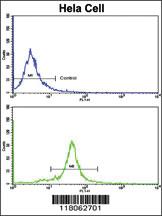 Anti-GOLPH3 Rabbit Polyclonal Antibody