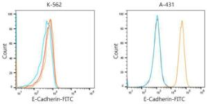 Flow cytometric analysis of Positive antibody E-Cadherin Rabbit mAb (2