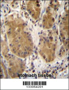 Anti-PCDHB5 Rabbit Polyclonal Antibody