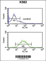 Anti-SPRY4 Rabbit Polyclonal Antibody