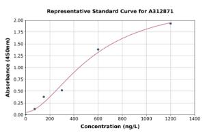 Representative standard curve for Human CYP1A1 ELISA kit (A312871)