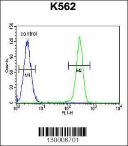 Anti-TNFSF4 Rabbit Polyclonal Antibody