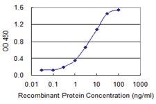 Anti-GLRX2 Mouse Monoclonal Antibody [clone: 3E9]