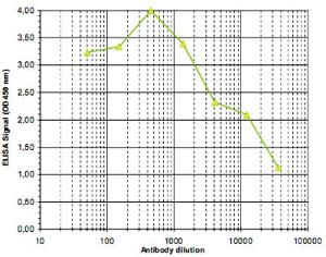 Anti-H3K79me3 Polyclonal Antibody