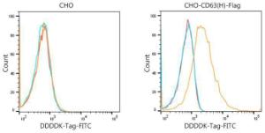 Flow cytometric analysis of Positive Control antibody (2.5 µg/ml) in various cells (orange) compared to Mouse isotype control (blue) and non-staining control (red). The secondary antibody was Goat Anti-Mouse IgG H&L Antibody (FITC) (A17350) at 1:100.