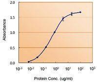 Anti-GFAP Goat polyclonal antibody