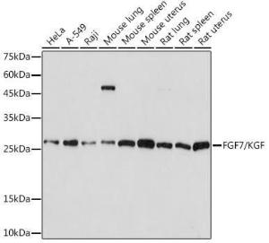 Antibody A307416-100 100 µl