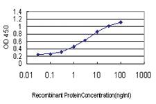 Anti-LEP Mouse Monoclonal Antibody [clone: 3G1-1C9]