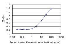 Anti-FIS1 Mouse Monoclonal Antibody [clone: 1G9]