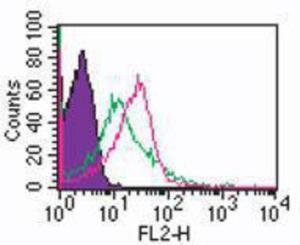 Anti-TLR1 Rabbit Polyclonal Antibody