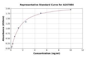 Representative standard curve for Human p53R2 ELISA kit (A247084)