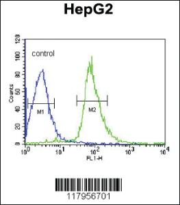 Anti-EHD3 Rabbit Polyclonal Antibody