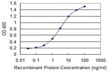 Anti-ZKSCAN8 Mouse Monoclonal Antibody [clone: 1F3]