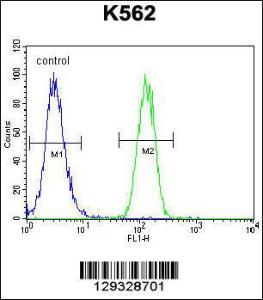 Anti-FOXI3 Rabbit Polyclonal Antibody