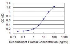 Anti-MSL2 Mouse Monoclonal Antibody [clone: 3A4]