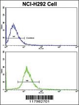 Anti-VTN Rabbit Polyclonal Antibody