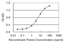 Anti-FIS1 Mouse Monoclonal Antibody [clone: 3G6]