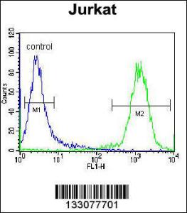 Anti-CELF3 Rabbit Polyclonal Antibody (FITC (Fluorescein Isothiocyanate))