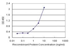 Anti-MPP1 Antibody Pair