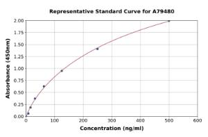 Representative standard curve for Human Ischemia-modified Albumin ELISA kit (A79480)