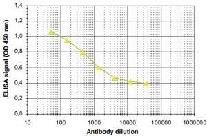 Anti-KDM1A Rabbit Polyclonal Antibody