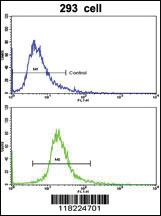 Anti-GPT Rabbit Polyclonal Antibody