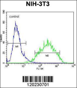 Anti-RAN Rabbit Polyclonal Antibody