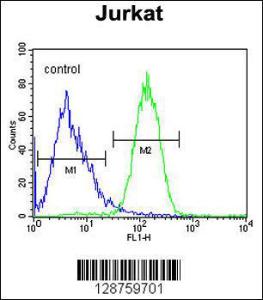 Anti-SLFN12L Rabbit Polyclonal Antibody (AP (Alkaline Phosphatase))