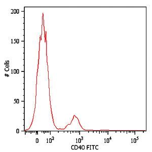 Anti-CD40 Mouse Monoclonal Antibody [clone: HI40a]