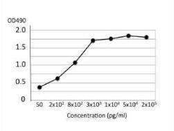 Anti-Salmonella LPS Antibody