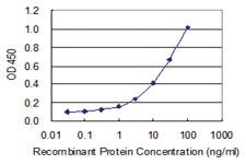 Anti-ZNF214 Mouse Monoclonal Antibody [clone: 8E7]