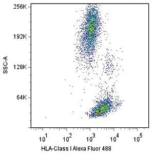 Anti-HLAA Mouse Monoclonal Antibody [clone: W6/32]