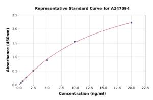 Representative standard curve for Human SPTLC1 ELISA kit (A247094)