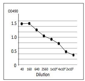 Anti-TDH toxin and TRH toxin antibody