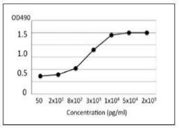 Anti-TDH toxin and TRH toxin antibody