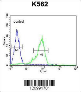 Anti-GCG Rabbit Polyclonal Antibody (AP (Alkaline Phosphatase))